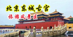 老年男人女人日比黄色视频网站免费看中国北京-东城古宫旅游风景区
